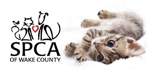 Spca wake - The SPCA of Wake County is known for its multi-faceted, comprehensive . approach to addressing the issues around pet overpopulation. Adoption: Placing homeless pets with new families is just one piece of the pie. Intervention: Our programs targeted toward people immediately at-risk of